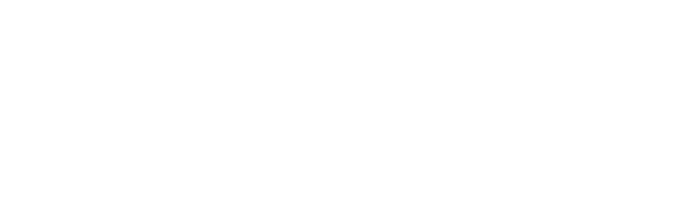Bosslink